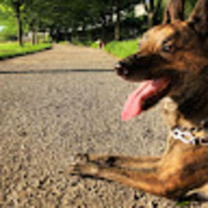 Meet your Posher, Will